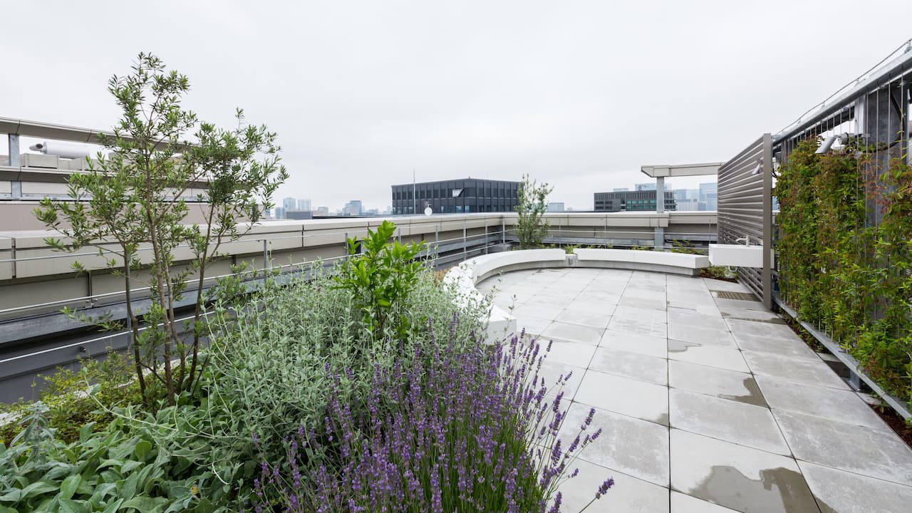 WeWork-Hanzomon-PREX-North-6